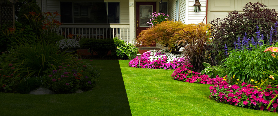 Colorado Landscapers
