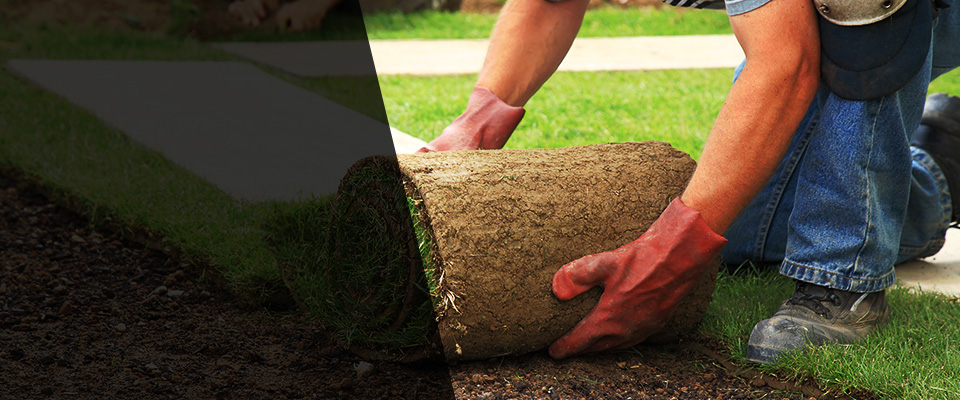 Colorado Landscapers
